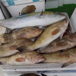 フィッシングボート空風(そらかぜ) 釣果