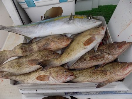 フィッシングボート空風(そらかぜ) 釣果