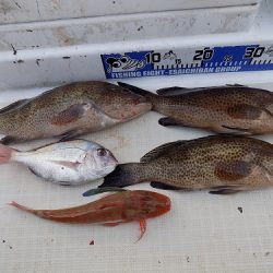 フィッシングボート空風(そらかぜ) 釣果