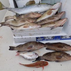 フィッシングボート空風(そらかぜ) 釣果