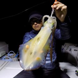 フィッシングボート空風(そらかぜ) 釣果