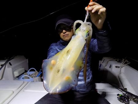 フィッシングボート空風(そらかぜ) 釣果