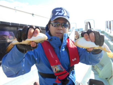 大進丸（愛知） 釣果