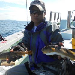 大進丸（愛知） 釣果