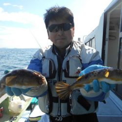 大進丸（愛知） 釣果