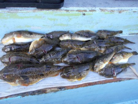 大進丸（愛知） 釣果