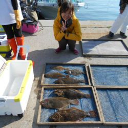大進丸（愛知） 釣果