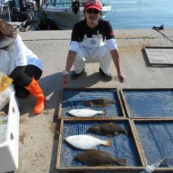 大進丸（愛知） 釣果