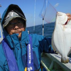 大進丸（愛知） 釣果