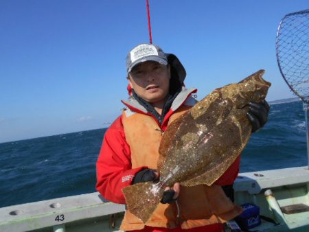 大進丸（愛知） 釣果