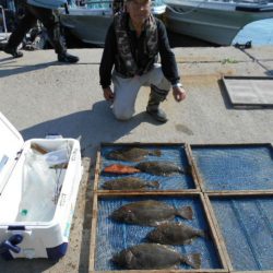 大進丸（愛知） 釣果