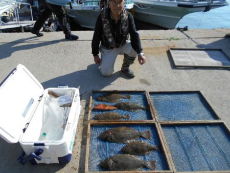 大進丸（愛知） 釣果