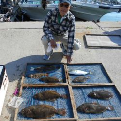 大進丸（愛知） 釣果
