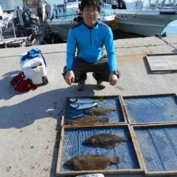 大進丸（愛知） 釣果