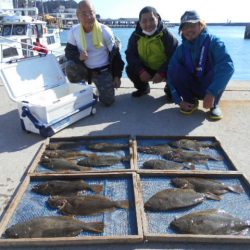大進丸（愛知） 釣果