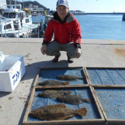 大進丸（愛知） 釣果