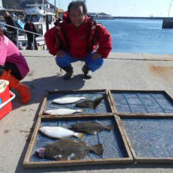 大進丸（愛知） 釣果
