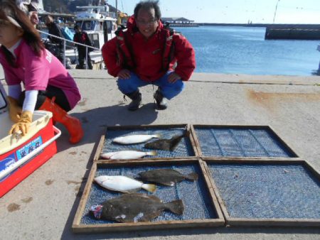 大進丸（愛知） 釣果