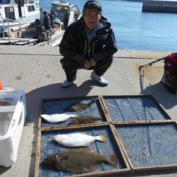 大進丸（愛知） 釣果