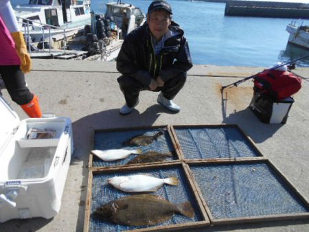 大進丸（愛知） 釣果