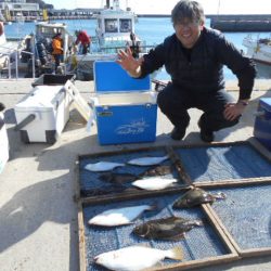 大進丸（愛知） 釣果