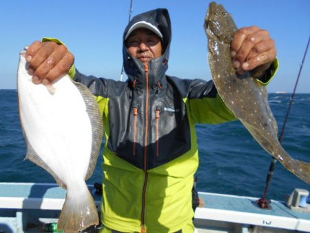 大進丸（愛知） 釣果