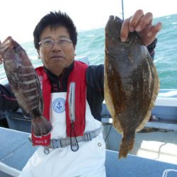 大進丸（愛知） 釣果