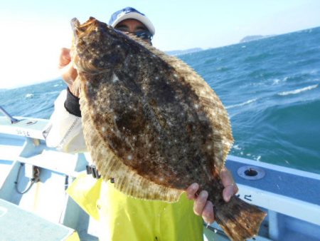 大進丸（愛知） 釣果