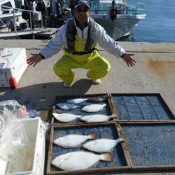大進丸（愛知） 釣果