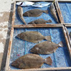 大進丸（愛知） 釣果