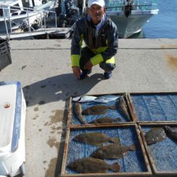 大進丸（愛知） 釣果