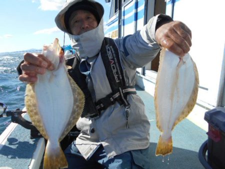 大進丸（愛知） 釣果