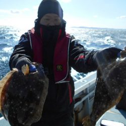 大進丸（愛知） 釣果