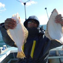 大進丸（愛知） 釣果
