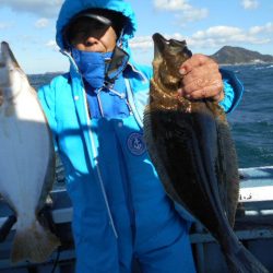 大進丸（愛知） 釣果