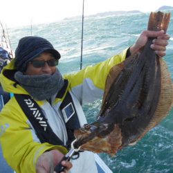 大進丸（愛知） 釣果