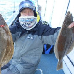 大進丸（愛知） 釣果