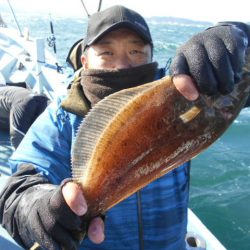 大進丸（愛知） 釣果