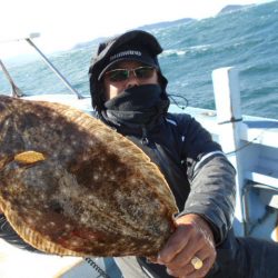 大進丸（愛知） 釣果