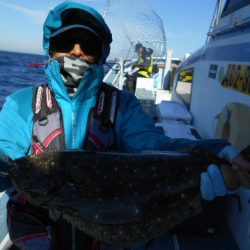 大進丸（愛知） 釣果