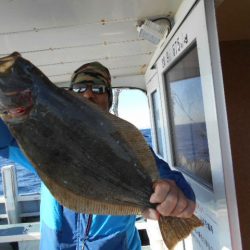 大進丸（愛知） 釣果
