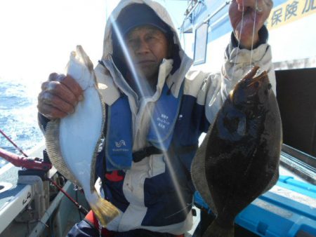 大進丸（愛知） 釣果