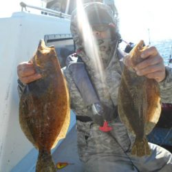 大進丸（愛知） 釣果