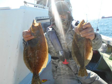 大進丸（愛知） 釣果