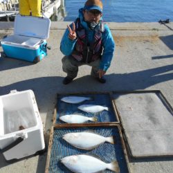 大進丸（愛知） 釣果