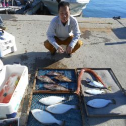 大進丸（愛知） 釣果