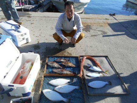 大進丸（愛知） 釣果