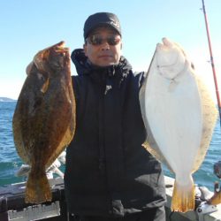 大進丸（愛知） 釣果