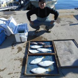 大進丸（愛知） 釣果