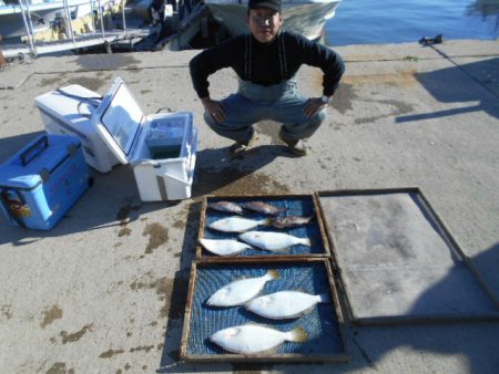 大進丸（愛知） 釣果
